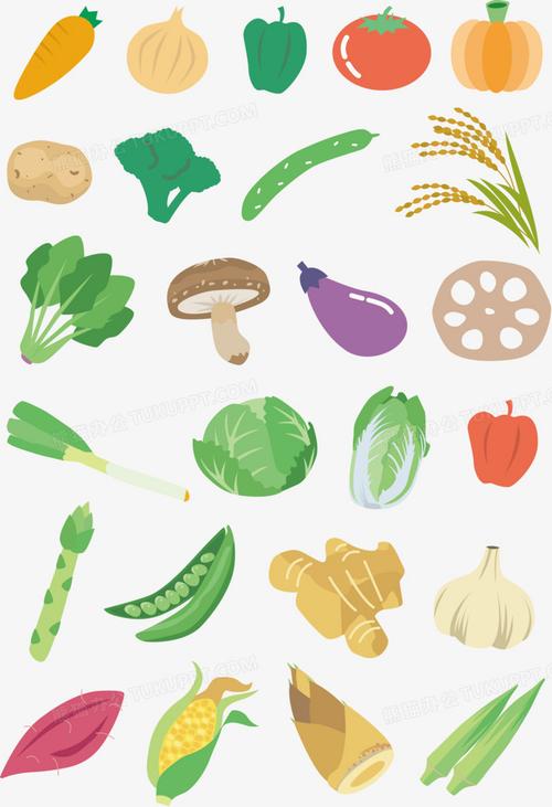 各种可样的卡通蔬菜png图片素材下载_蔬菜png_熊猫办公